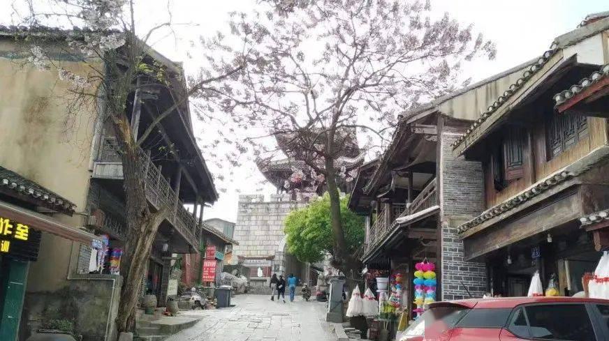 海贼王伟大冒险